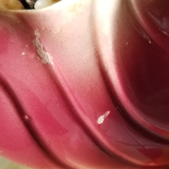 Beautiful Duck / Swan Planter With Succulent - Picture 7 of 10